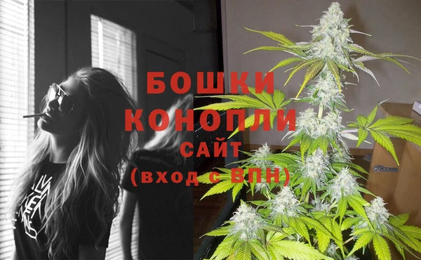 молекула духа Аркадак