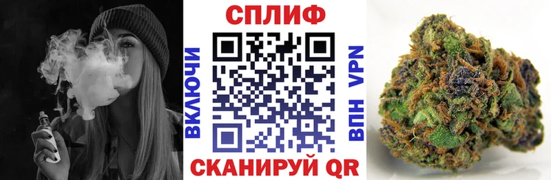 дарк нет клад  Мензелинск  Бошки марихуана план 